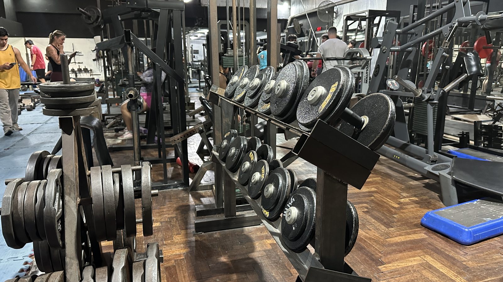 Zona de cardio de El Bosque Gimnasio