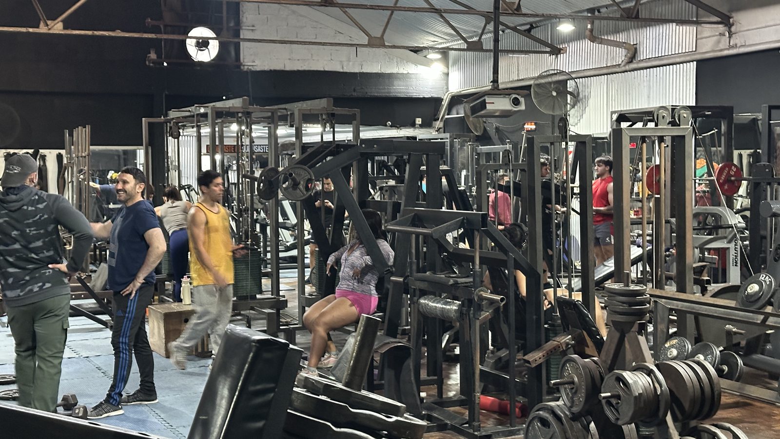 Zona de pesos libres y máquinas de El Bosque Gimnasio